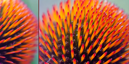macro-farg-_0.jpg