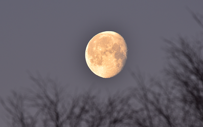 tamron-100-400-4-5-6-3-di-vc-usd_0.png