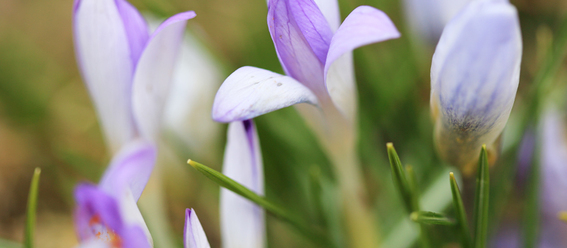 canon-ef-100-2-8-usm-macro-1-1_0.jpg