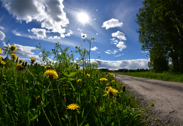 nikon-af-s-fisheye-8-15-3-5-4-5e-ed_0.png