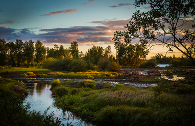 sommaren-2013_0.jpg
