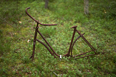 titta-en-cykel_0.jpg