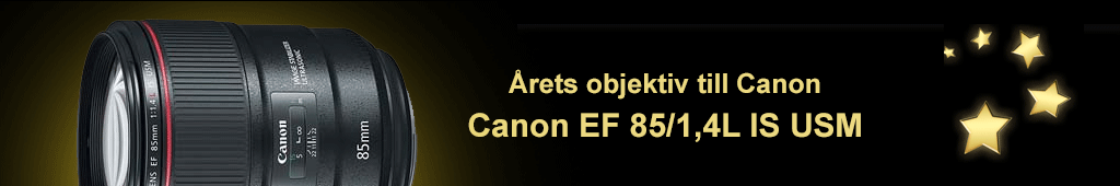 awards-85is.png