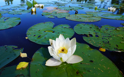 sony-fe-16-35-2-8-gm_0.png