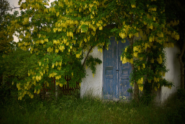 gotland-del-1_0.jpg