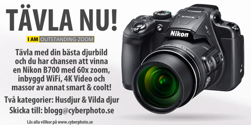 tavling-djurbilder_0.jpg