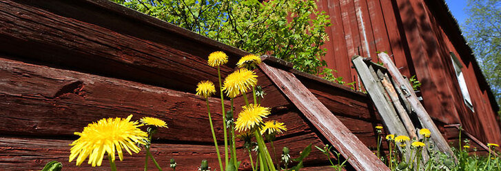 nikon-1-nikkor-6-7-13_0.jpg