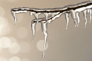 vinter_0_2.jpg