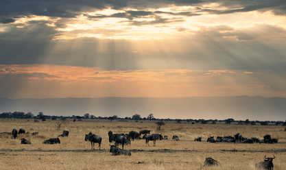 eos-700d-afrika_0.jpg