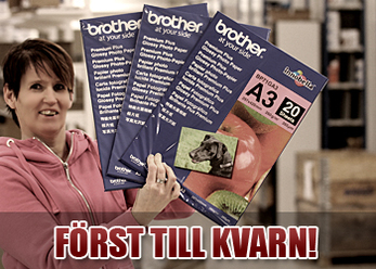 forst-till-kvarn-_0.jpg