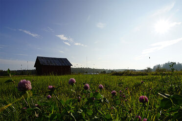 sony-af-dt-16-105_0.jpg