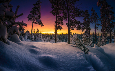 djur-och-natur-vinnare_0.jpg