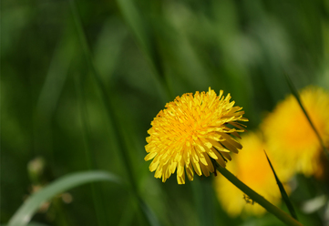 panasonic-leica-dg-100-400-4-0-6-3_0.jpg