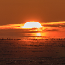 L1010240-3.jpg