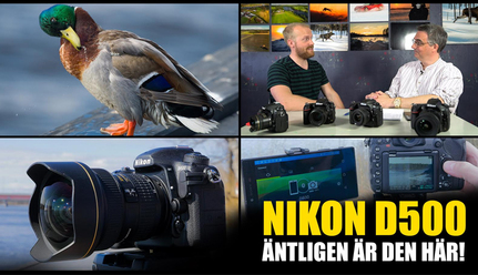 ny-film-nikon-d500_0.jpg