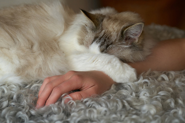 titta-en-kisse_0.jpg